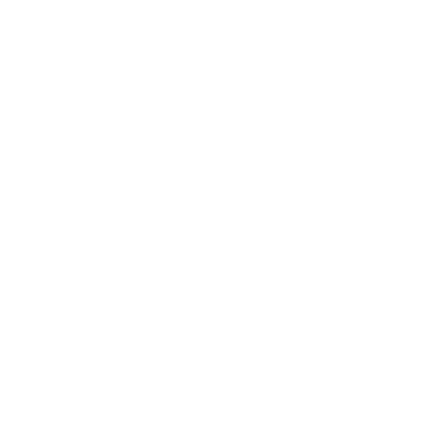 Plénières & énergie collective